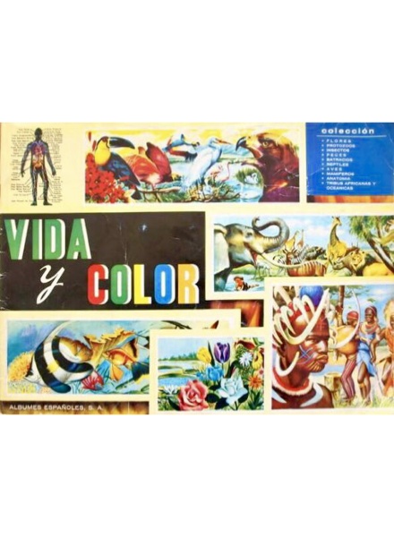 Vida y Color