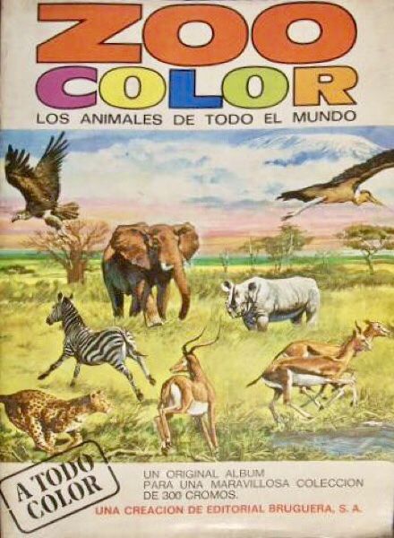 Zoo Color
