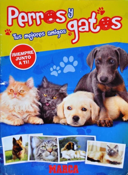Perros y gatos. Tus mejores amigos