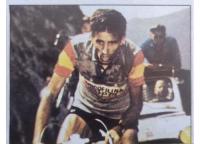 Vuelta Ciclista. Ases Internacionales del Pedal 1984