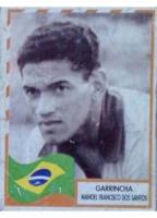 La Copa y Los Mejores de America 1995