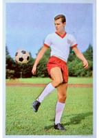 Bundesliga 1966-1967