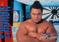 Street Fighter. La película